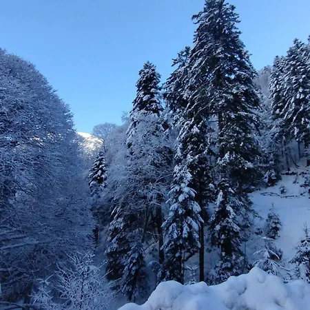 Le Ty Cosy Montagnard La Mongie * Bagnères-de-Bigorre