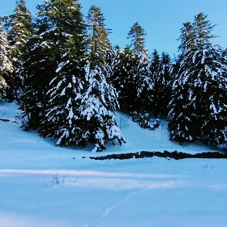 Le Ty Cosy Montagnard La Mongie Daire Bagnères-de-Bigorre